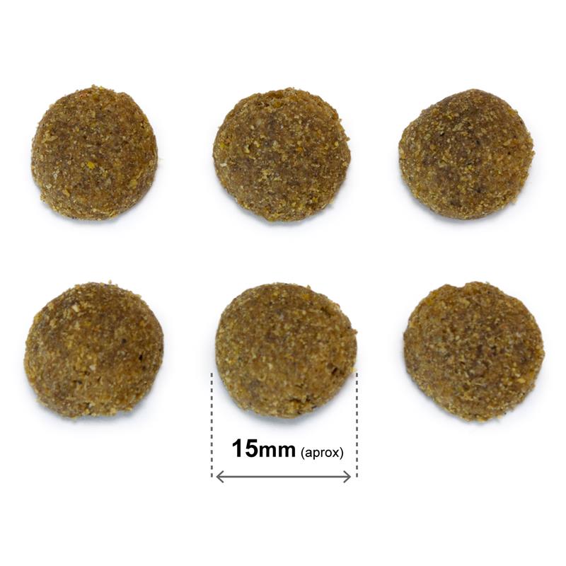 ARQUIVET Original wieprzowina iberyjska 20 kg - obrazek 3