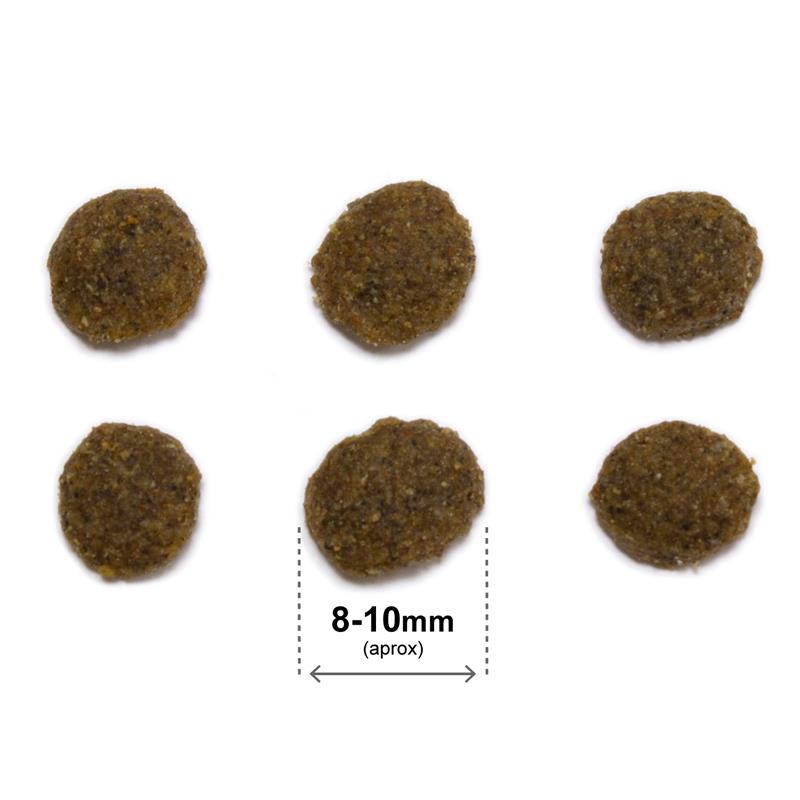 ARQUIVET CAT Original dla kotów sterylizowanych łosoś z ryżem 1,5 kg - obrazek 2